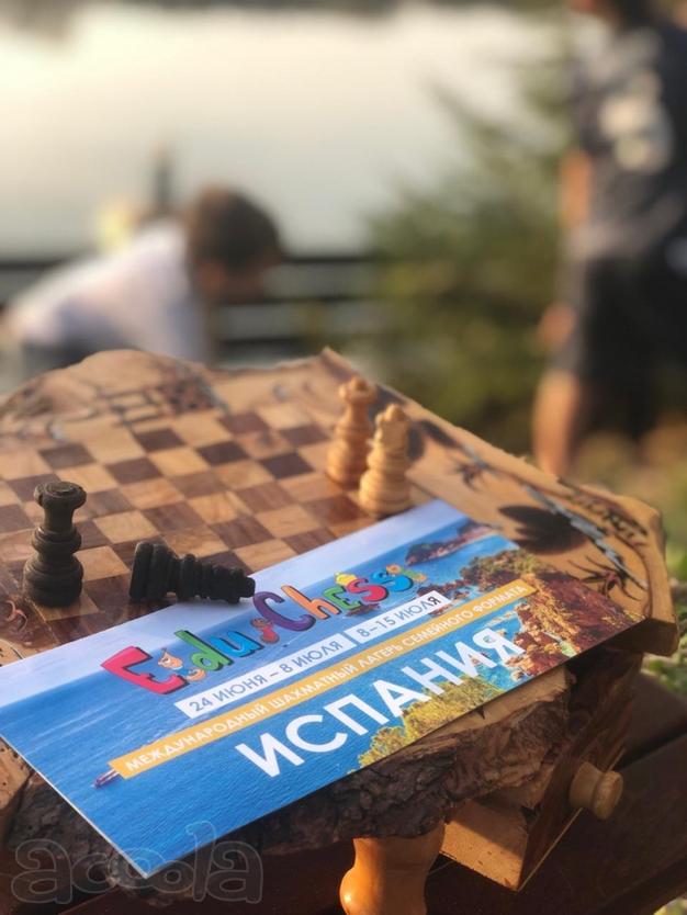 Международный шахматный лагерь