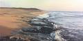 Продаю картину: автор Аксамитов Юрий, Кипр север, черепаший пляж